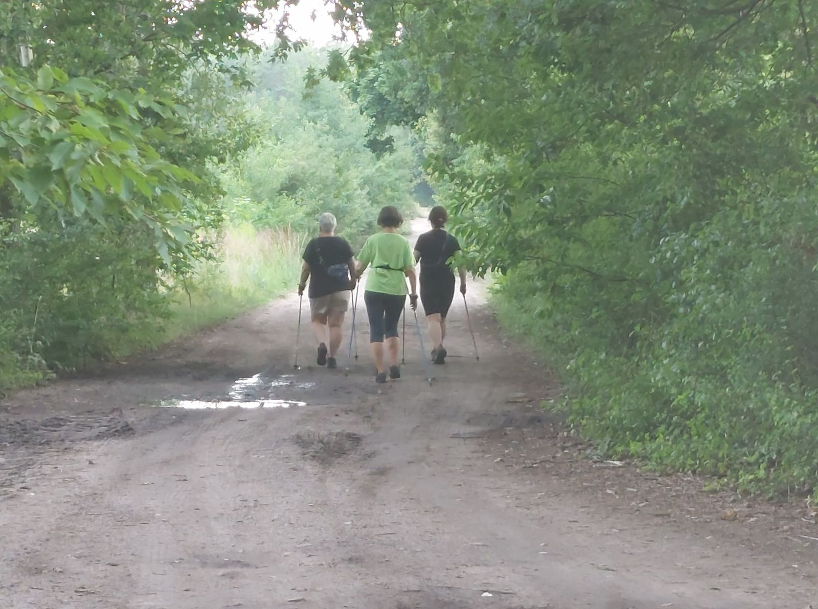 Zdjęcie: Nordic Walking z Biblioteką!